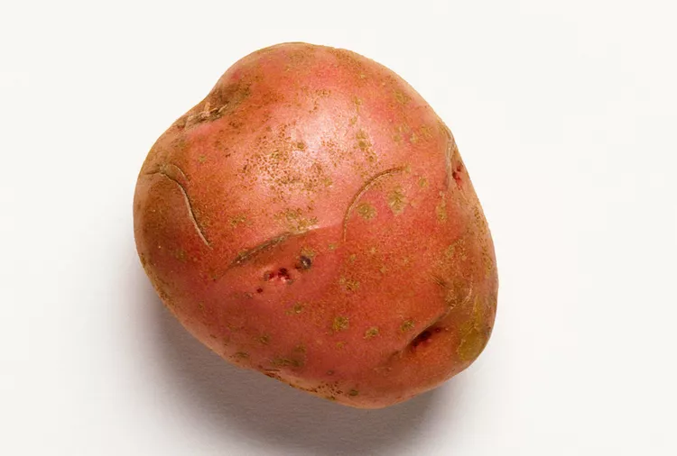 russet potato