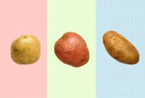 russet potato