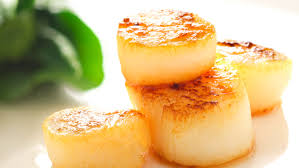 scallops