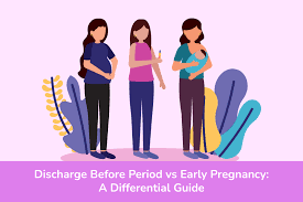 Discharge Before Period vs Early Pregnancy