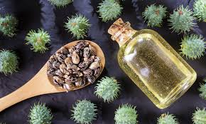 organic castor oil